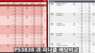 PS3838 과 피나클 배당비교 텔레 & 톡 KBC33