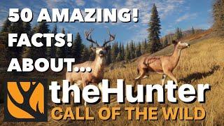 50 AMAZING FACTS about The Hunter Call of the Wild Franchise!