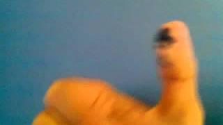 Farmer Farmer does the Chicken Dance