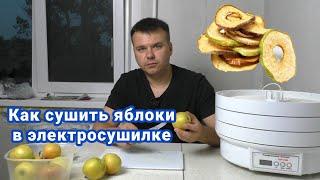 Как сушить яблоки в электросушилке