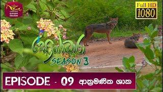 Sobadhara - Sri Lanka Wildlife Documentary | 2019-05-10 | Invasive Plants in Sri Lanka