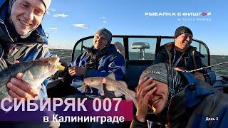 Сибиряк 007 в Калининграде. День 2 ой.