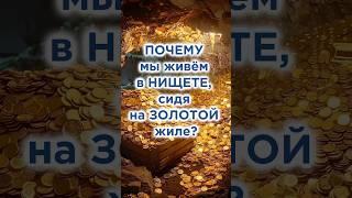 ЗОЛОТАЯ ЖИЛА