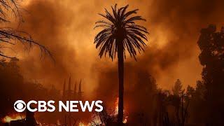 Los Angeles wildfires continue to decimate California | full coverage