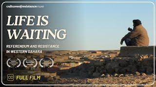 Life is Waiting: Referendum and Resistance in Western Sahara | Documentary