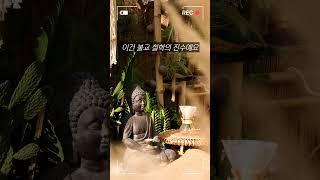 이 3가지만 알면, 불교 80%는 이해한 겁니다 #불교 #불교교리 #사성제 #팔정도 #연기법