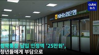 청약통장 납입 인정액 '25만원', 청년들에게 부담으로 / [CUBS NEWS] 2024. 11. 16