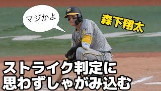 【そりゃないでしょ…】外角のボール臭い球をストライク判定されて思わずしゃがみ込む森下翔太。ベンチで怒りを堪えながら道具をポイポイ投げる 2024.9.21