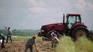 Queen Sugar on OWN Premieres September 7th