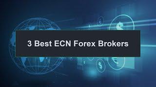 FX | 3 Best ECN Forex Brokers 2023 | Top 3 Forex Brokers Ranking List