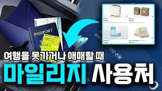 소멸되는 대한항공 마일리지, 어떻게 사용해야 하는 걸까? I 여행 정보