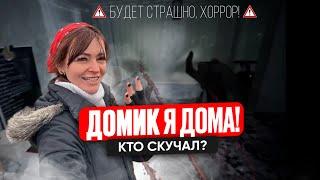Домик я дома)! Он скучал, а вы? #ЛёкаДом  #ремонтсвоимируками #diy