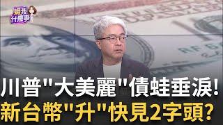 債市很焦慮!?川普"大美麗法案"恐讓美債繼續升?!美債ETF掀"破底潮" 台灣散戶5月平均"虧11-12%"?│陳斐娟 主持 │20250522│關我什麼事feat.蔡明彰,朱紀中,阮慕驊,朱岳中