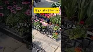 텅장만들기 참 쉽죠? #꽃나무 #정원꾸미기 #꽃쇼핑 #전원주택 #시골일상