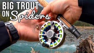 Spider Flies! Fly Fishing for HUGE Brown Trout