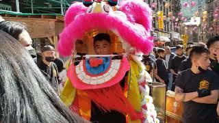 Golden Lion Club - NYC - Chinatown