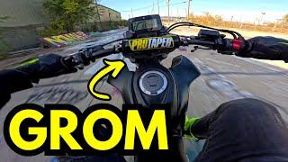 SHOULD YOU BUY A HONDA GROM