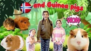 Diba & Daddy - Visit To Norway -  Learn A بازدید از نروژ - درباره حیوانات خانگی برای کودکان بیاموزید