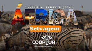 EXPEDIÇÃO ÁFRICA SELVAGEM DEZEMBRO 2023 COOPTUR