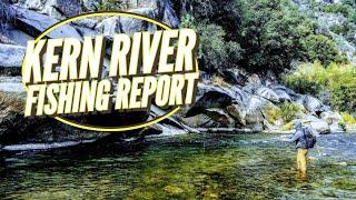 Kern River Fishing Report - Are you ready for the good news?