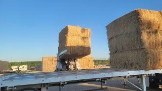 Experienced Hay squeeze operator