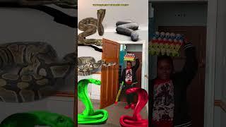 Animal funny video Anaconda snake python in my house in real life bhoot wala usa #bhojpuri #vfx 13