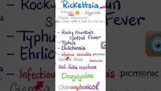 Rockettsia - Rocky Mountain Spotted Fever, Typhus, Ehrlichiosis - Bacteria- Microbiology  #biology