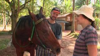Things to do in Koh Samui, Thailand by Asiatravel.com