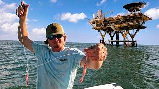 Catching SNAPPER with this Deadly Rig Setup!