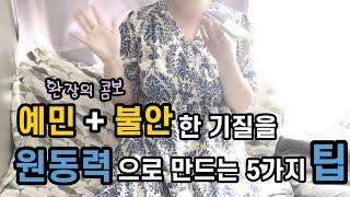 내가 기질적 예민함을 다스리는 방법들 | 내 안에 불안이를 안고 사는 모든 사람들에게