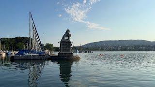 Summer Morning on Zurich Lake