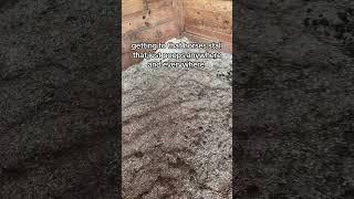 like could you poop in one spot pls  #western #horse #barrelracer #barrelhorse #equestrian #barn