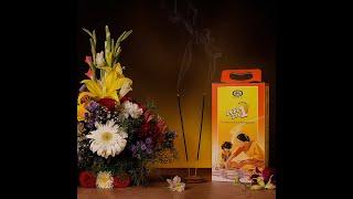 Cycle All In One Fragrance