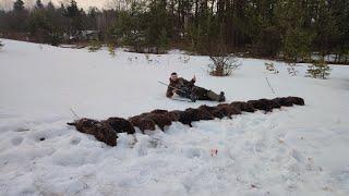 СЕКРЕТ удачной ОХОТЫ на БОБРА! Чем стрелять бобра?