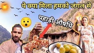 ये क्या मिला हमको जंगल से।।।।Pahad ka Pradeep।। Pahadi lifestyle vlog @Pahad_ka_pradeep