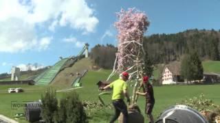 Balkon und Terrassen als grüne Landschaften - Teil 3