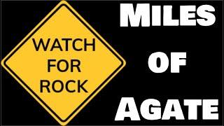 Oregon Rocks!: Rockhounding Oregon| The McDermitt Adventure w/ Miles Of Agate and Petrified Trees