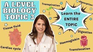 A level topic 3 - The ENTIRE topic.  Learn or revise all of this topic in 1 hour! Get exam ready