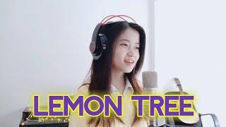 Lemon Tree | Shania Yan Cover