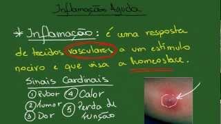 Inflamação Aguda - Resumo - Patologia Geral