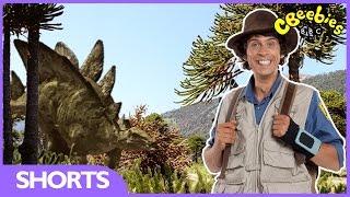 Andy's Dinosaur Adventures - Stegosaurus Facts - CBeebies