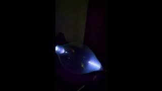 magnificent  discharge tube