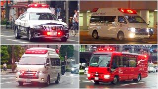 Call 110 for Police & 119 for Fire and Ambulace  (June 2023) | Osaka & Tokyo