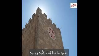 كلمات حية بلغة فلسطين