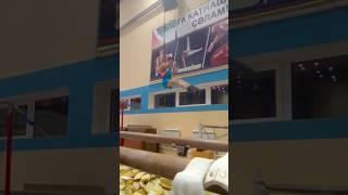 3 Взрослый Разряд ( Кольца )