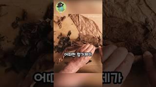 담배 하나로 1시간 동안 핀다고?! #담배 #시가 #쿠바