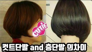 컷트 단발과 층단발 섹션이(cot각도) 헷갈리시면 꼭 보셔요   #층단발 #컷트단발  #동네원장님