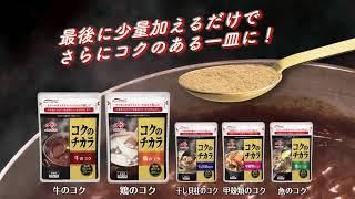 味の素業務用　短時間で煮込んだコクを出したい時に！「コクのチカラ」のご紹介