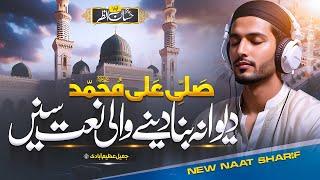 New Latest Naat Sharif | Salle Ala Muhammad | Hafiz Hassan Anzar | New Naat Sharif