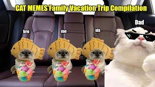 CAT MEMES Family Vacation Trip Compilation Full ep 2